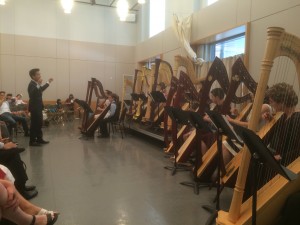 Harp Orchestra 2015 on the mark...