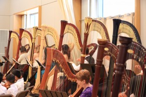 Harp Orchestra 2016 in performance with string ensemble.
