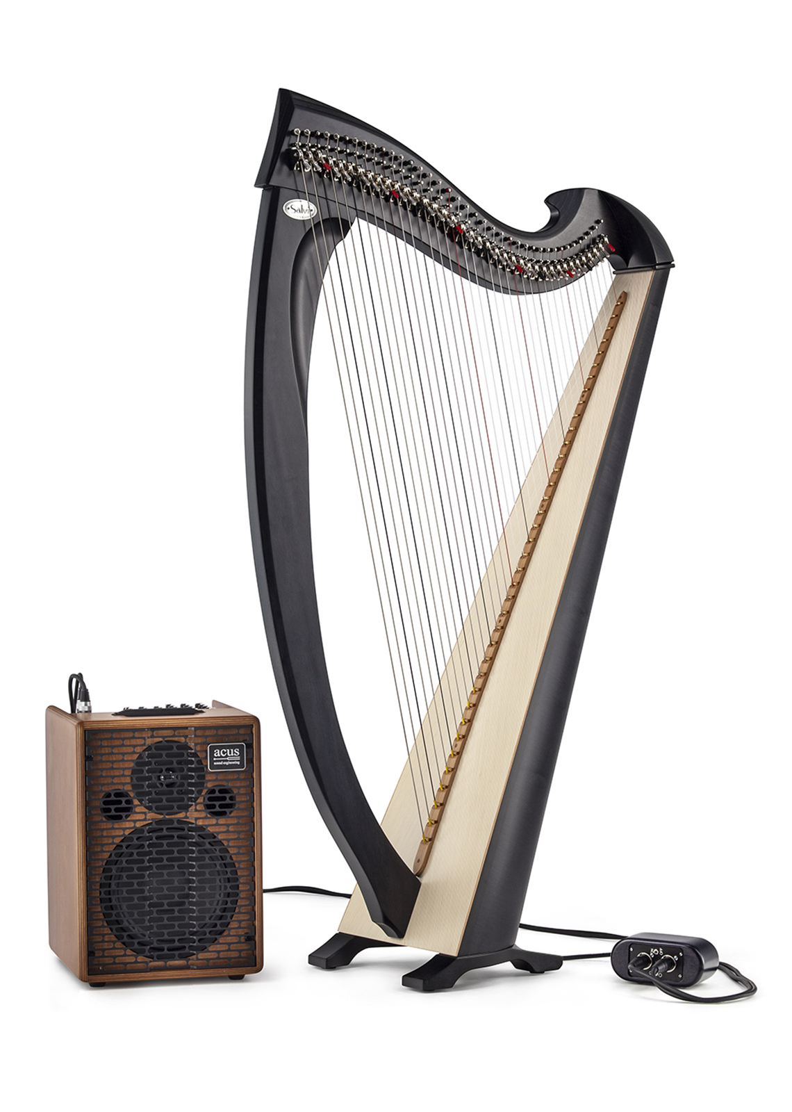 Una Electroacoustic 3 with Amp